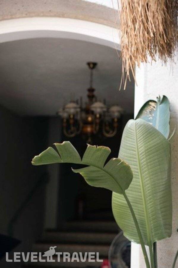 фотографии отеля Mono Alaçatı в Турция(Чешме) - фото №12