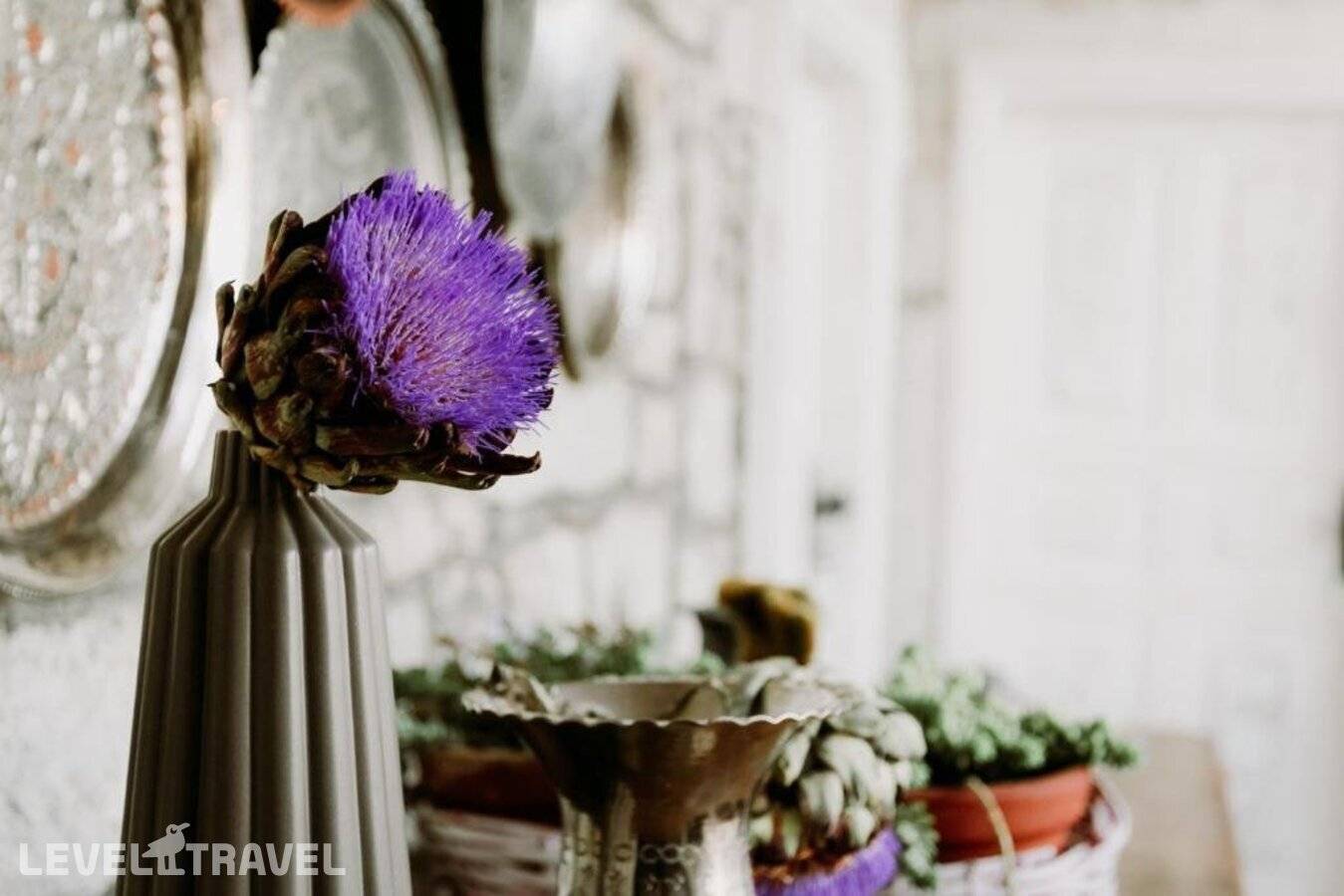 фотографии отеля Morisi Avlu в Турция(Чешме) - фото №18