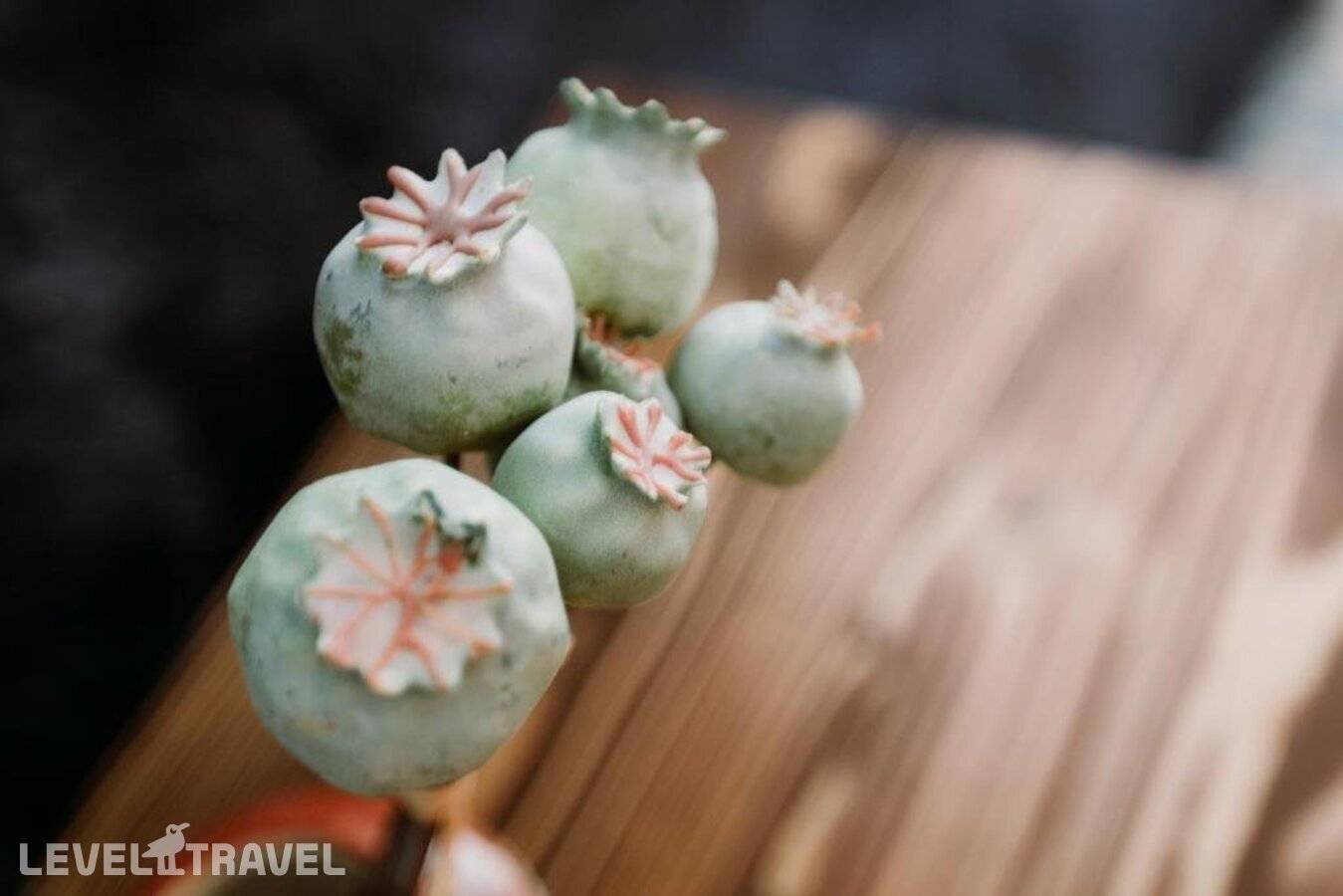 фотографии отеля Morisi Avlu в Турция(Чешме) - фото №17