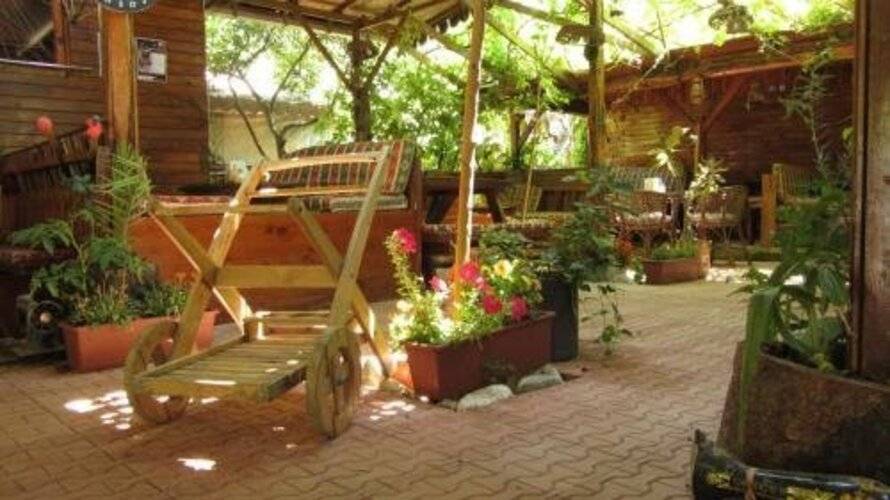 Olympos Natural Pansiyon