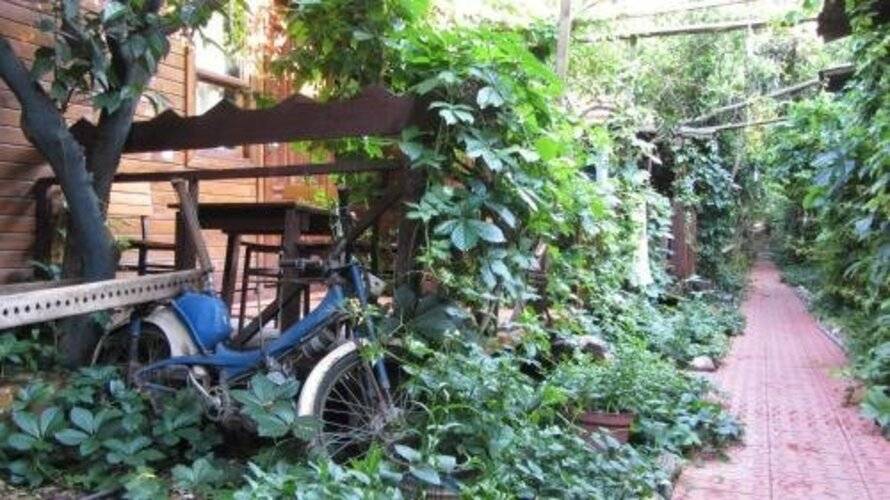 Olympos Natural Pansiyon