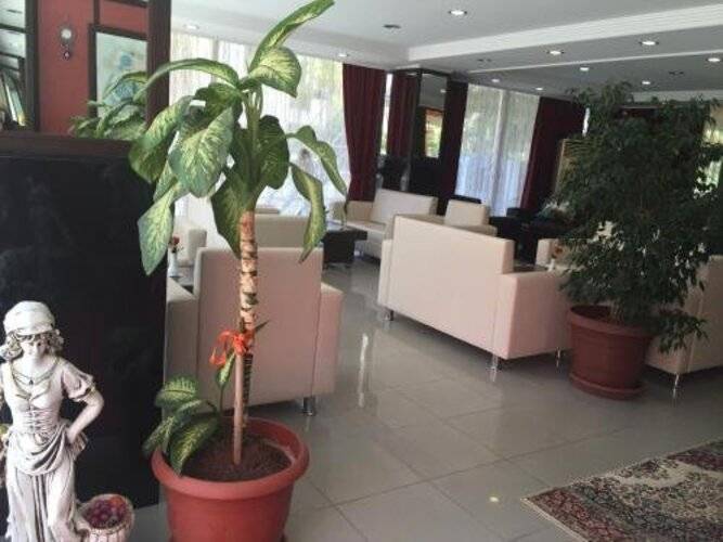 Bayindir Palme
