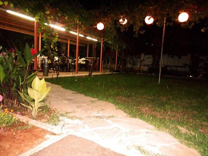 Bayindir Palme