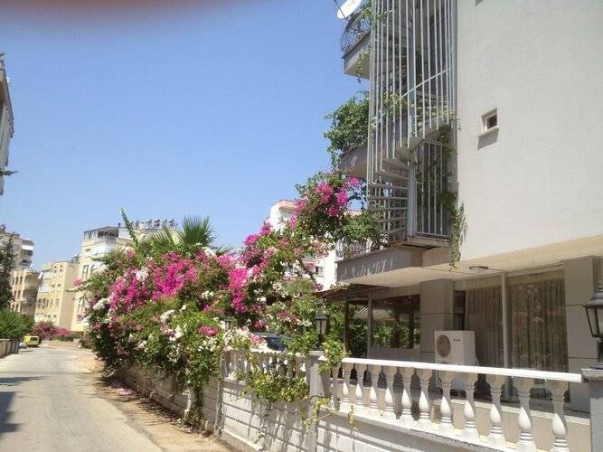 Bayindir Palme