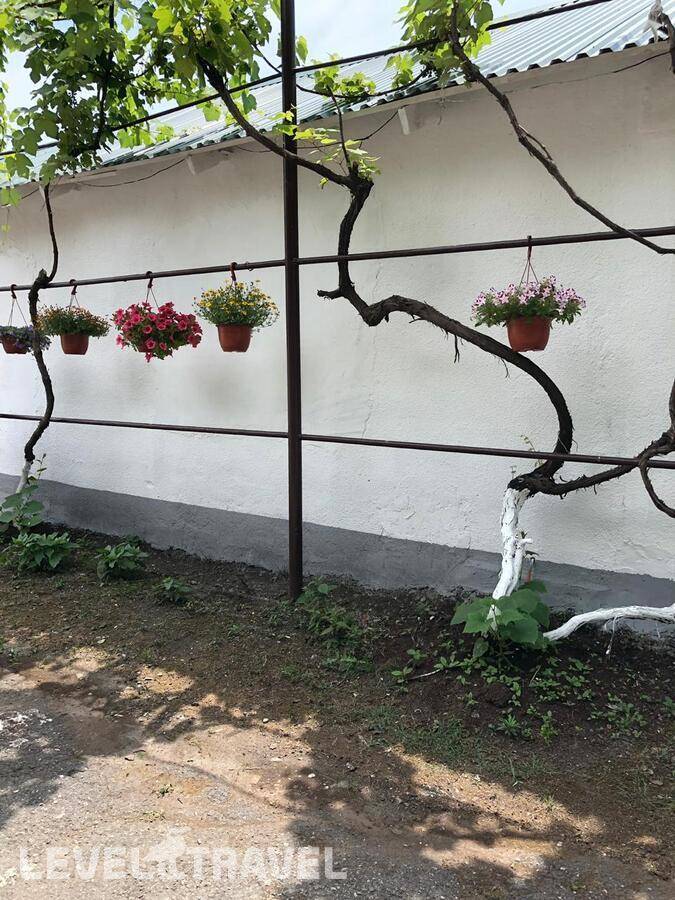 Изображение отеля 3