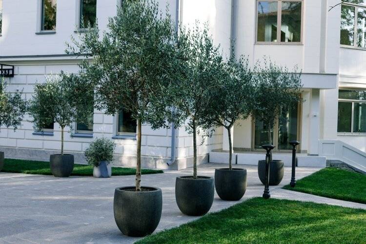 Апартаменты Grand Royal Residences