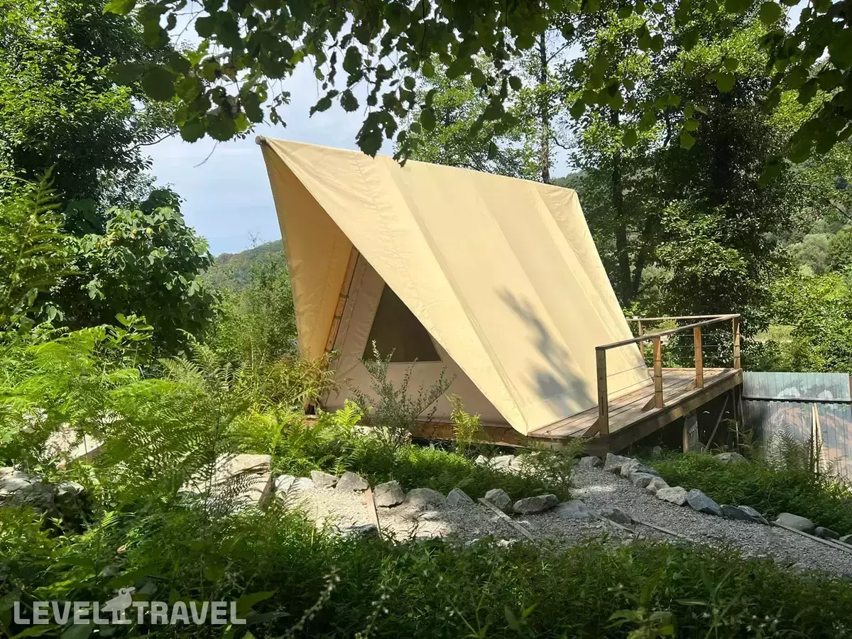 Глэмпинг Lavicon Древо