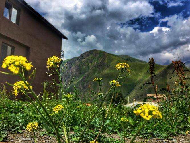 Chemodann Kazbegi