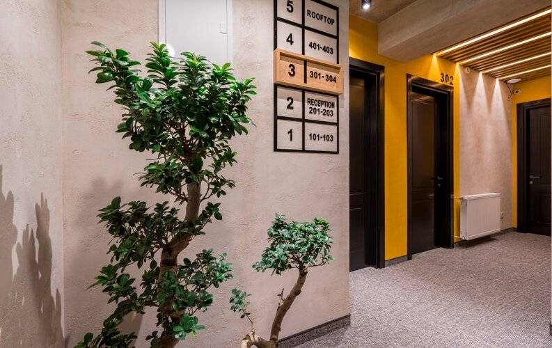 Tbilisi Story — фото 30