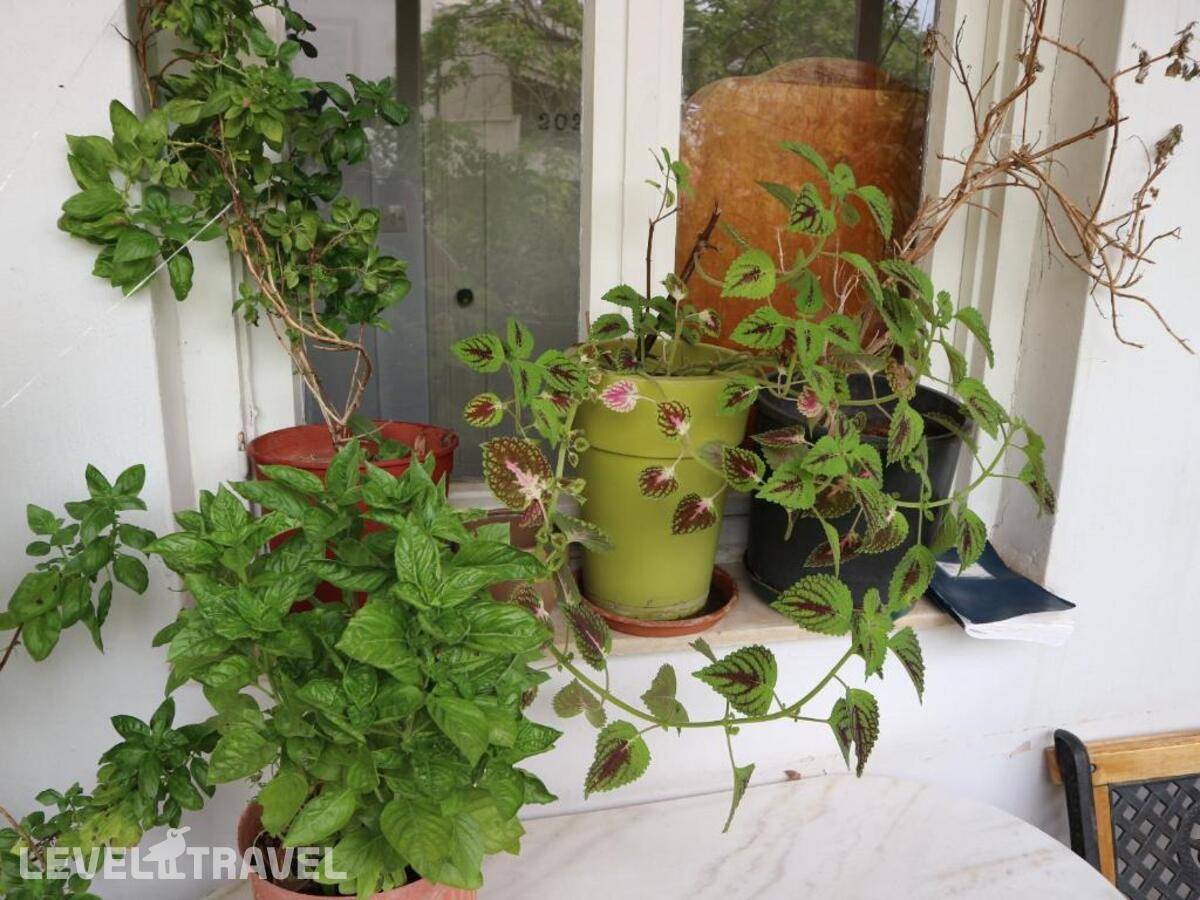 фотографии отеля Acropolis House в Греция(Афины) - фото №41