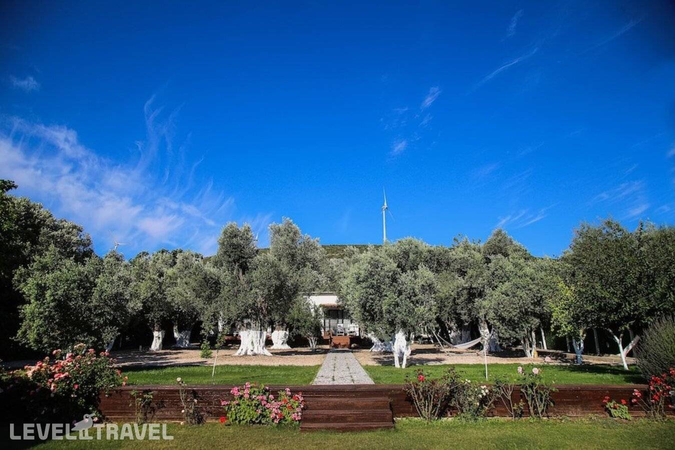 фотографии отеля Suess Alaçatı Otel в Турция(Чешме) - фото №17