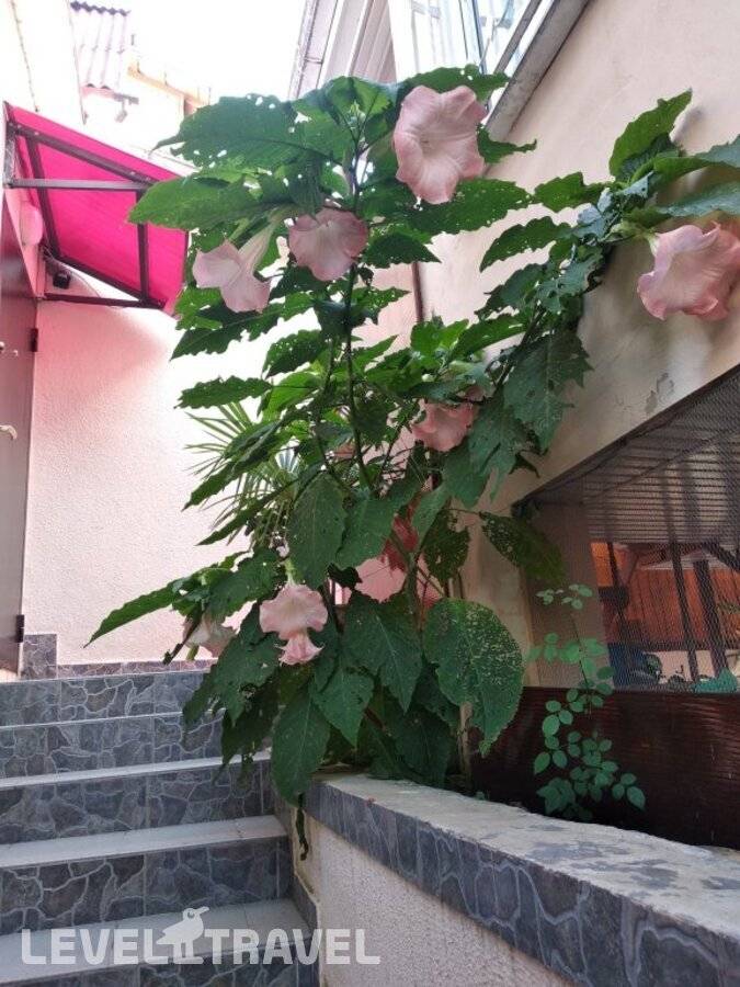 фотографии отеля Апартаменты Студия На Джигитской в Россия(Сочи - Центр) - фото №6