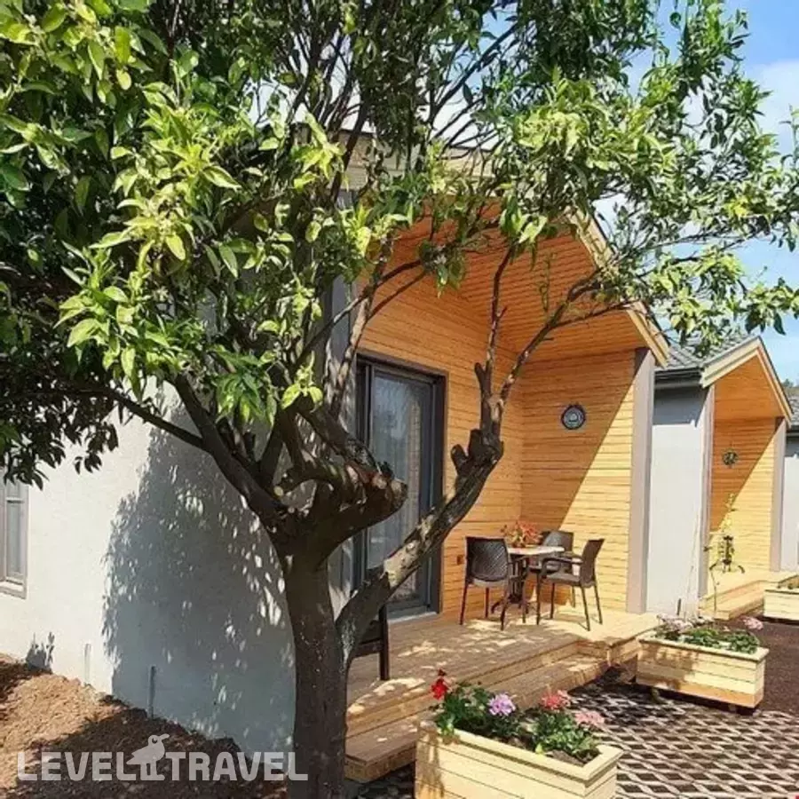 Zeytin Cicegi Evleri