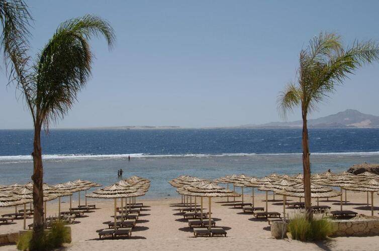 Cleopatra Luxury Resort Sharm (Adults Only 16+)