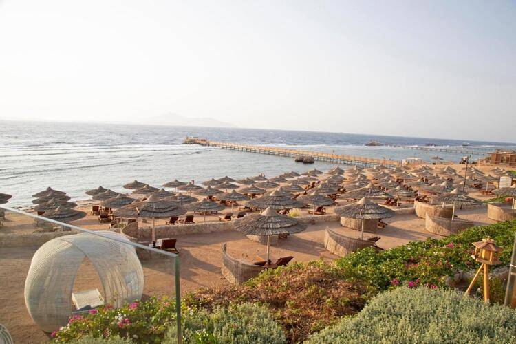 Cleopatra Luxury Resort Sharm (Adults Only 16+)