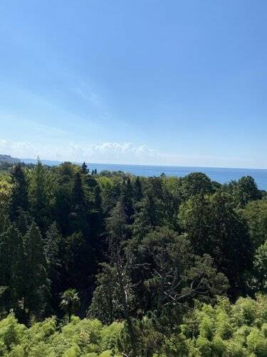 Дизайнерская Квартира В Новой Александрии