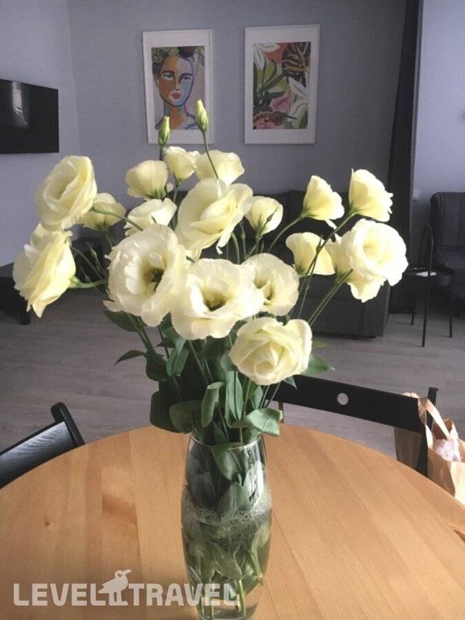 Изображение отеля 24