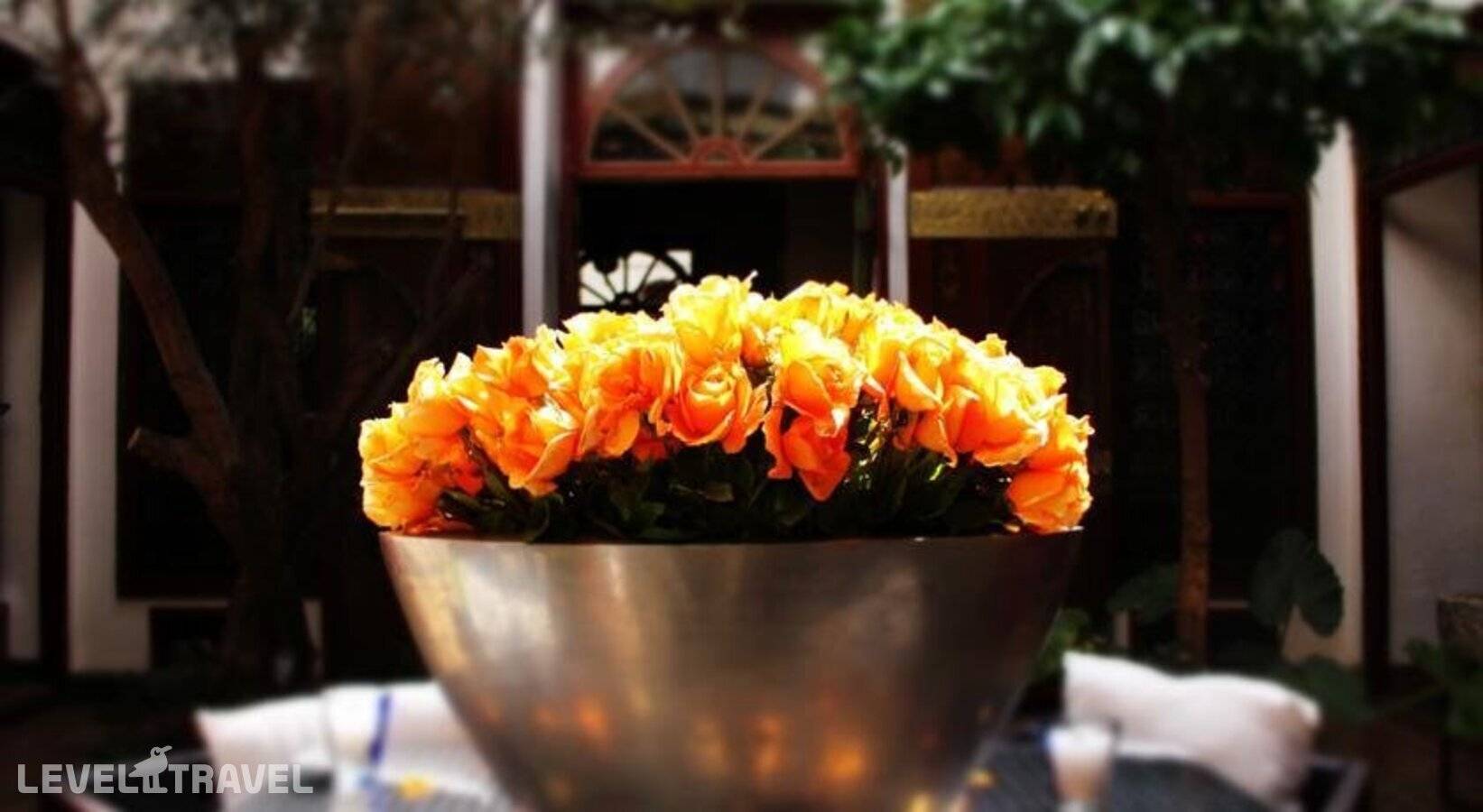Изображение отеля 11
