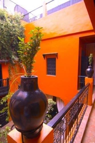 Riad Hermes