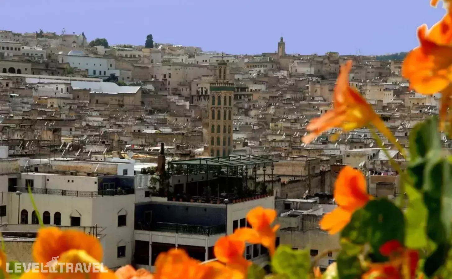 Dar Tazi - Medina View