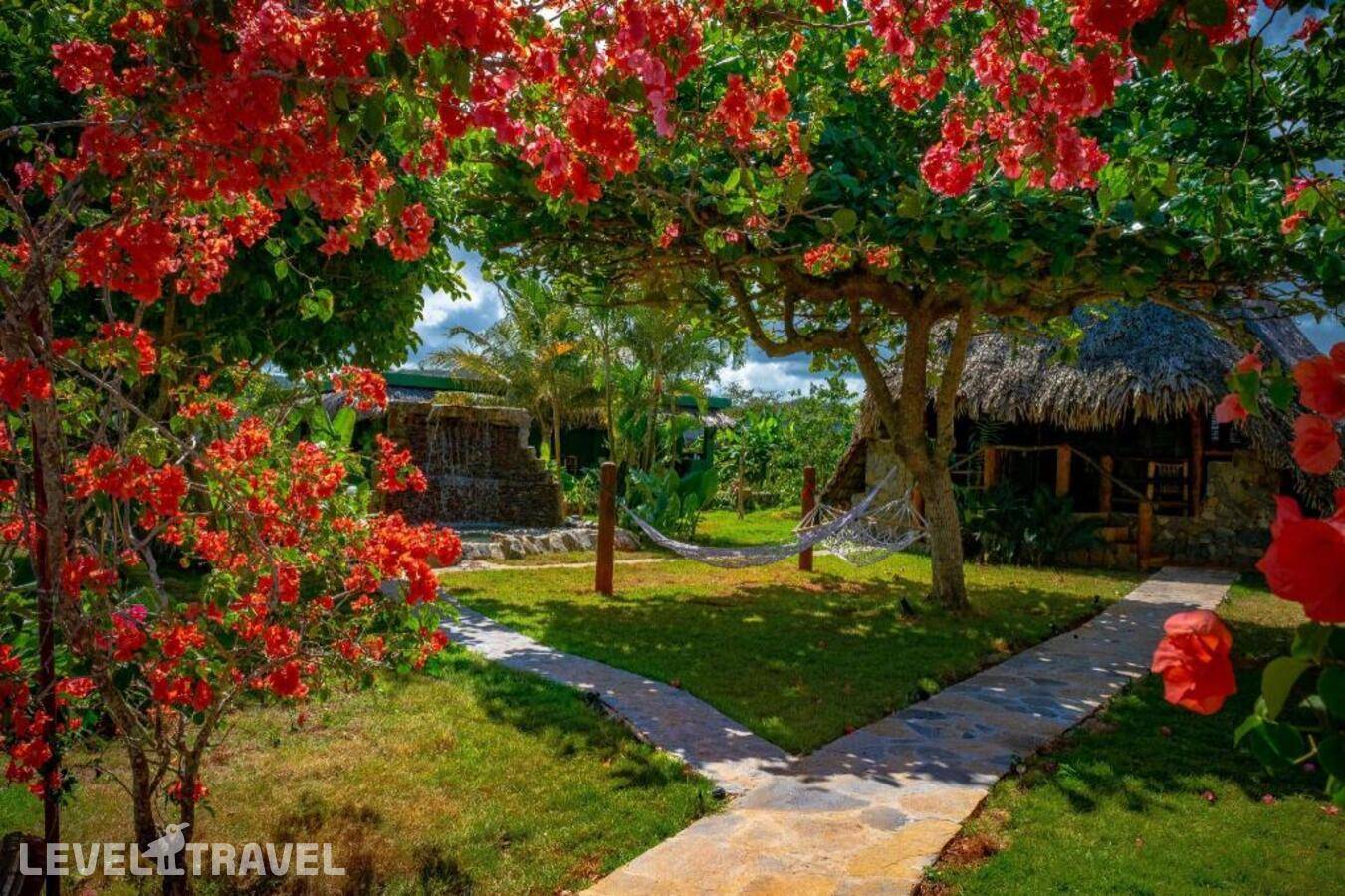 фотографии отеля Chalet Tropical Bio Hotel в Доминикана(Самана) - фото №31