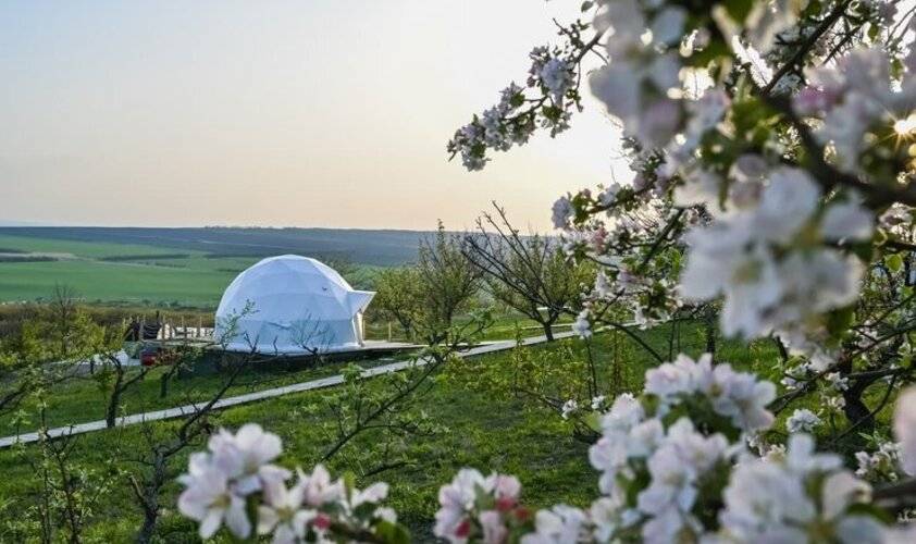 The Garden (Гарден) Глэмпинг