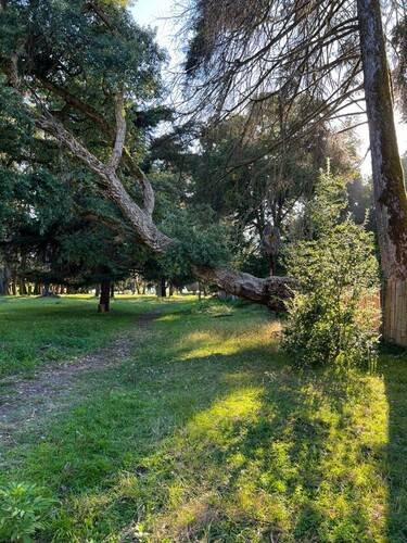 Green Park