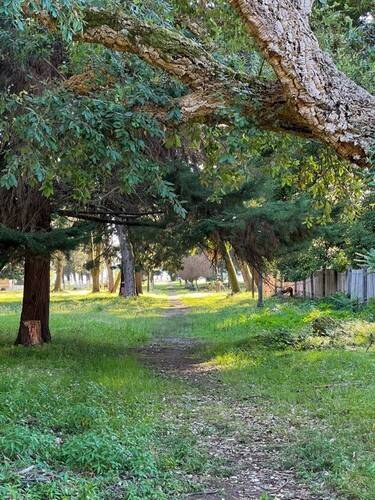 Green Park