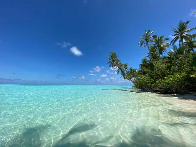 Alimas Retreat Felidhoo