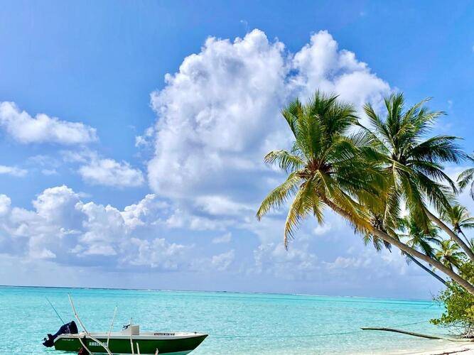 Alimas Retreat Felidhoo