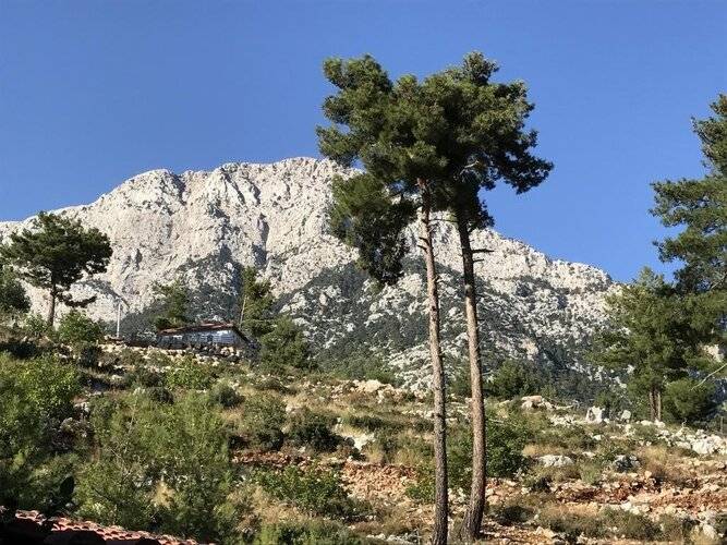 Olympos Mountain Lodge