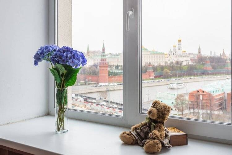 Апартаменты В Доме Правительства С Видом На Кремль