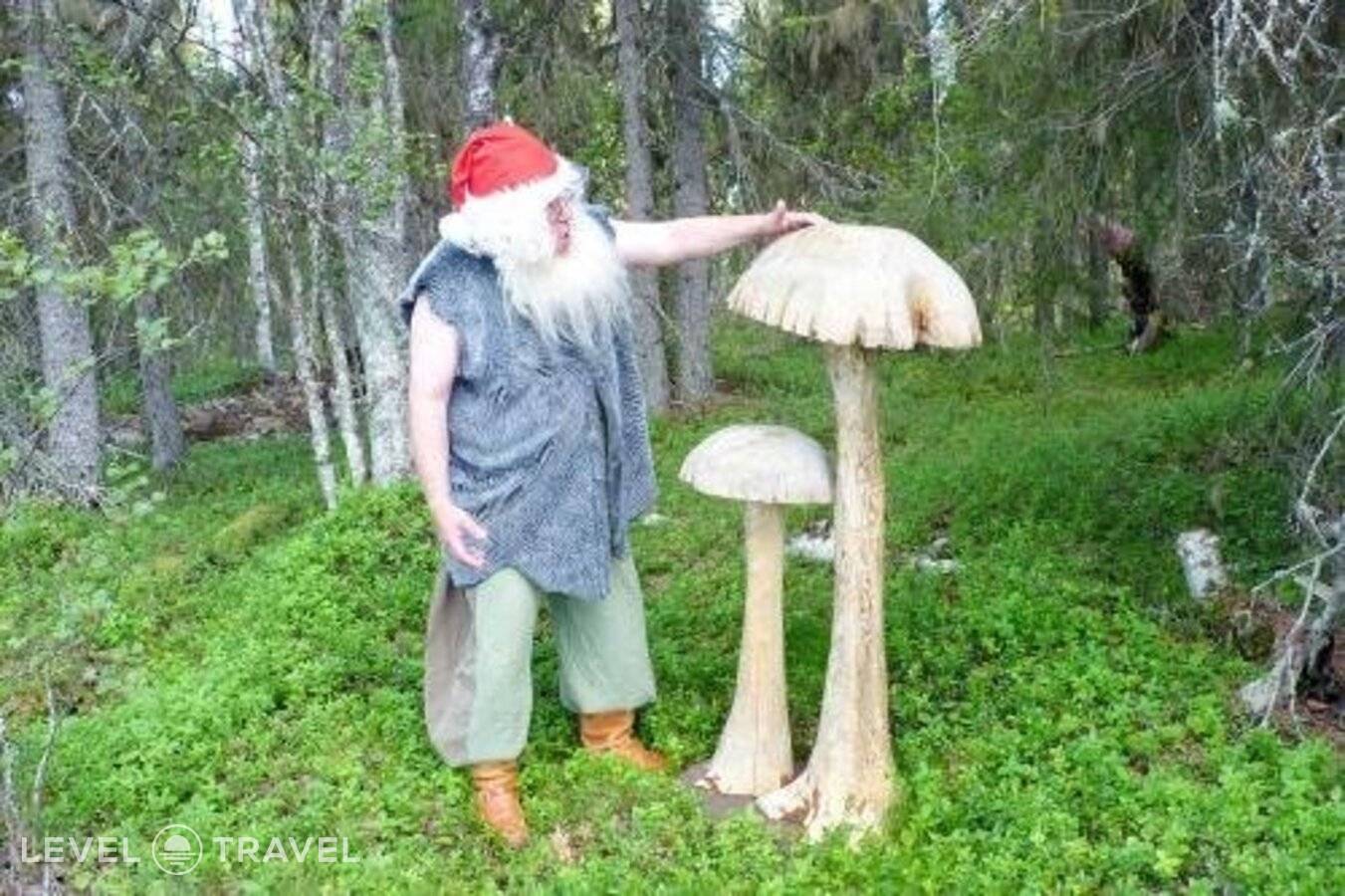 Изображение отеля 15