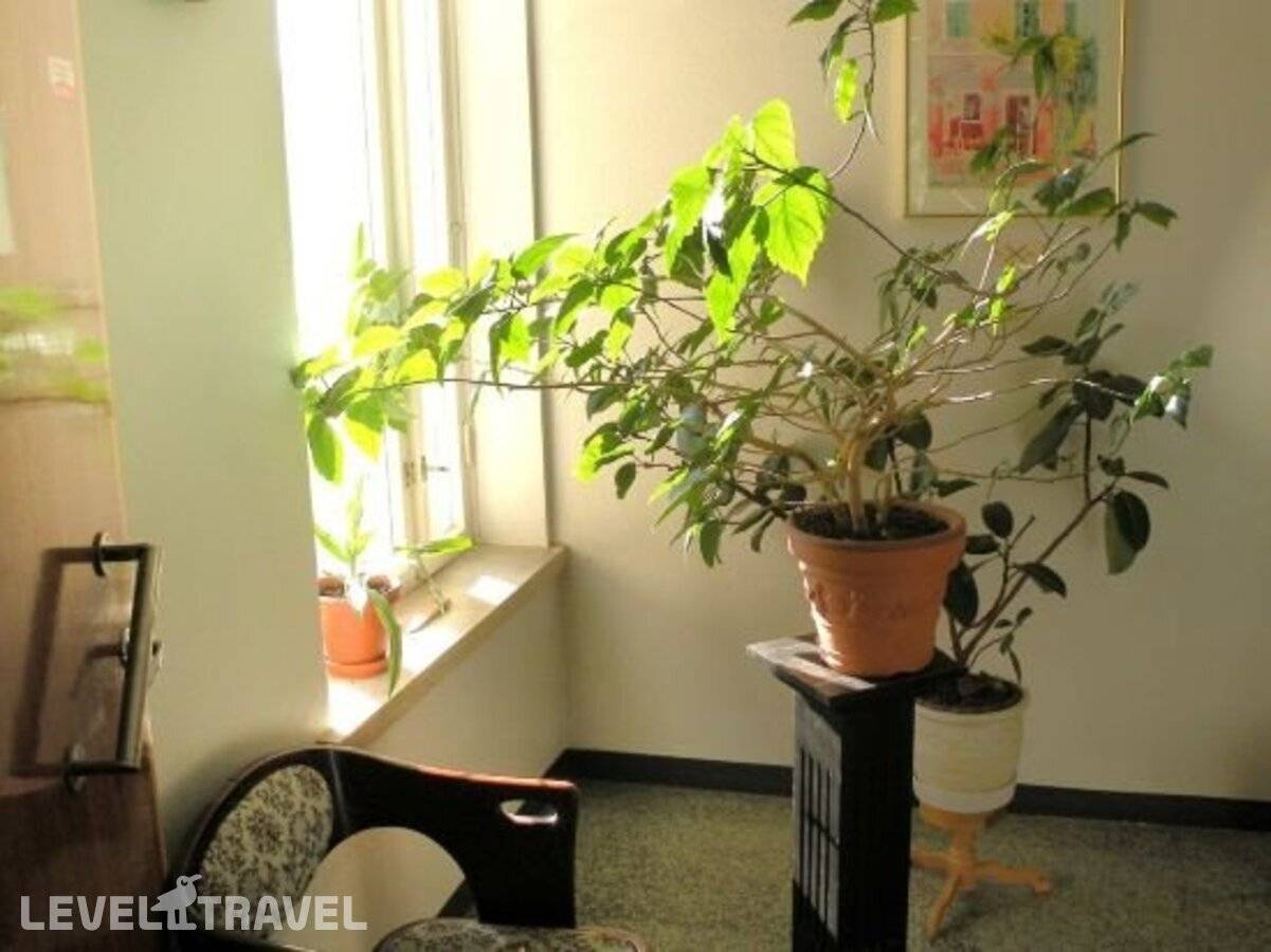 Изображение отеля 37