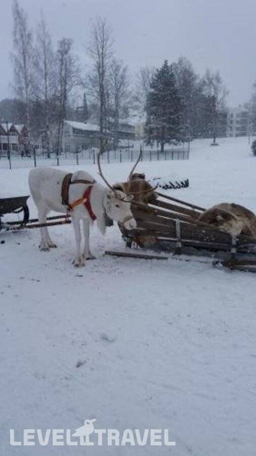 Изображение отеля 16