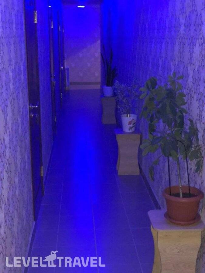 Изображение отеля 13