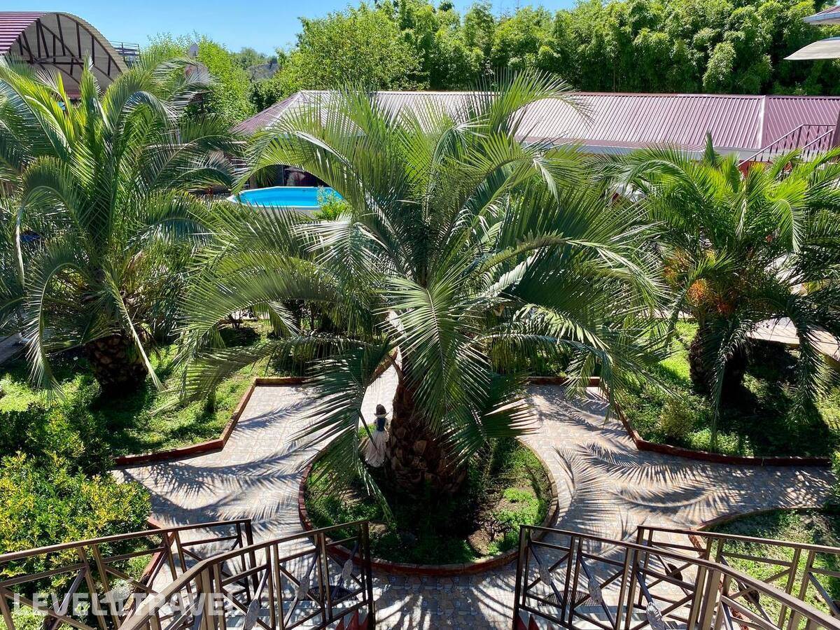 фотографии отеля Розовый Фламинго в Абхазия(Цандрыпш) - фото №15