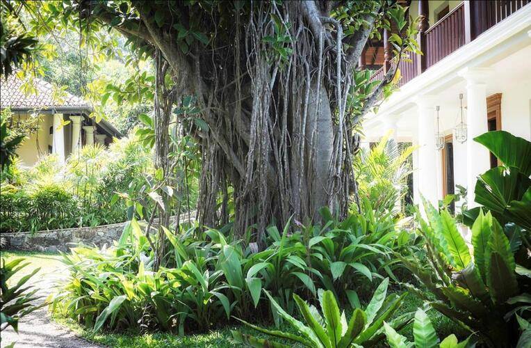 Eraeliya Villas And Garden