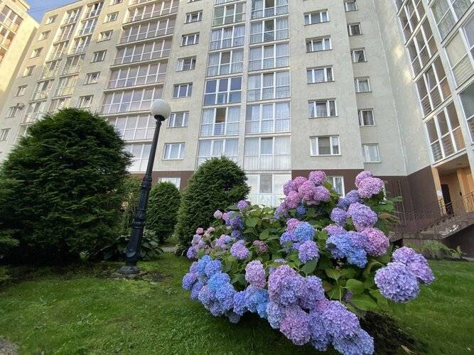 Апартаменты Фридланские Ворота