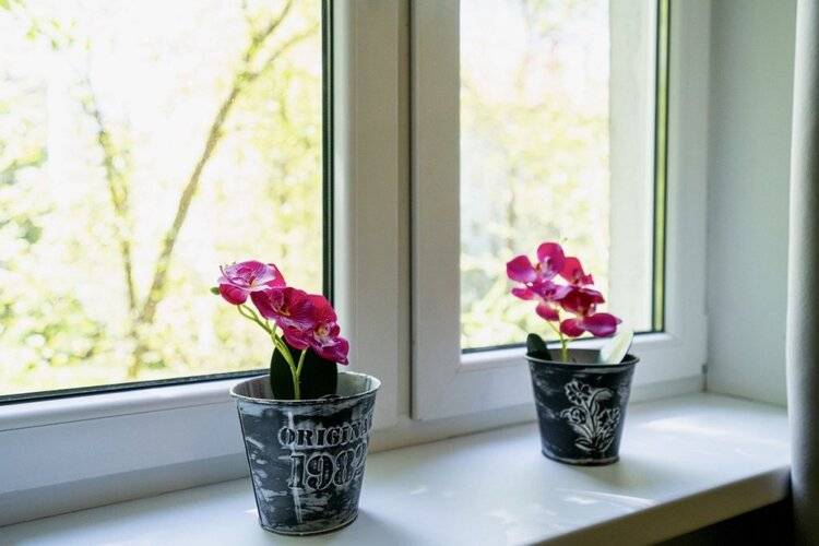 Apartmari Двухкомнатные В Самом Сердце Калининграда