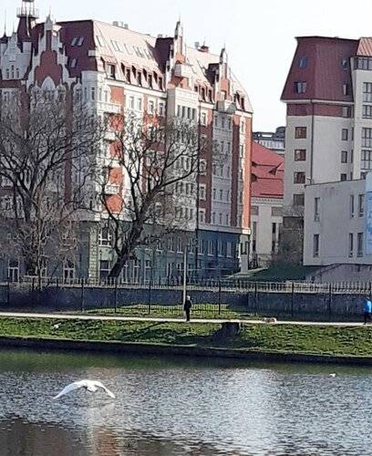 Апартаменты 2-Комнатные В Центре С Видом На Кафедральный Собор