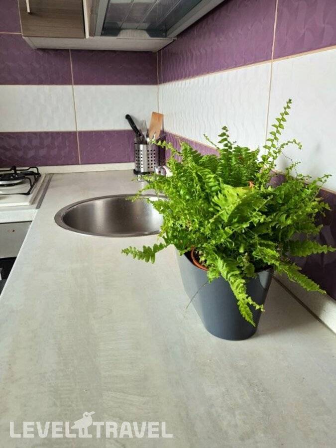 фотографии отеля Апартаменты On Rokossovskogo 11 в Россия(Калининград) - фото №4