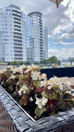 Апартаменты In The Heart Of Konig