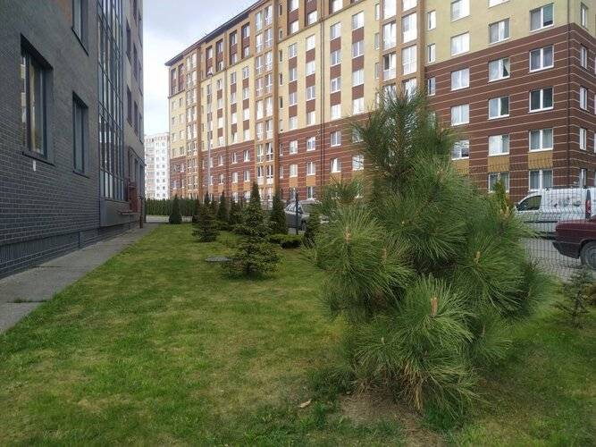 Апартаменты Однокомнатные На Липовой Центр Рядом