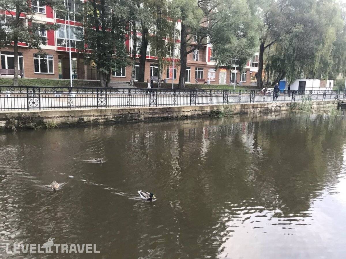 фотографии отеля Апартаменты Sun Lake 2 в Россия(Светлогорск) - фото №4