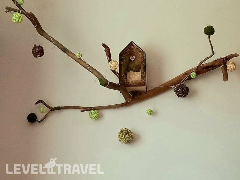 Фотография Подсолнух У Моря