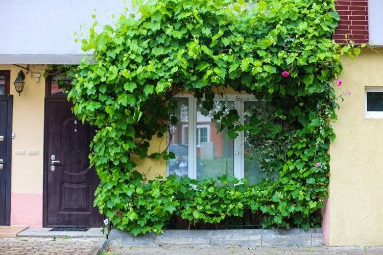 Таунхаус Pro.Apartment Секция В Светлогорске