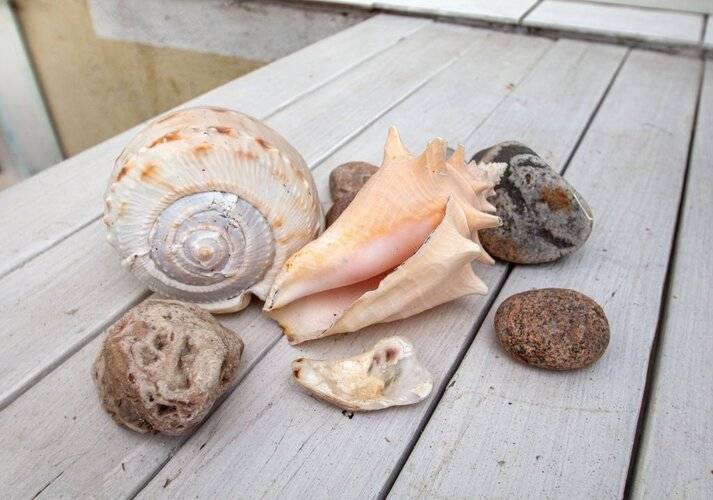 Апартаменты Студия В Центре