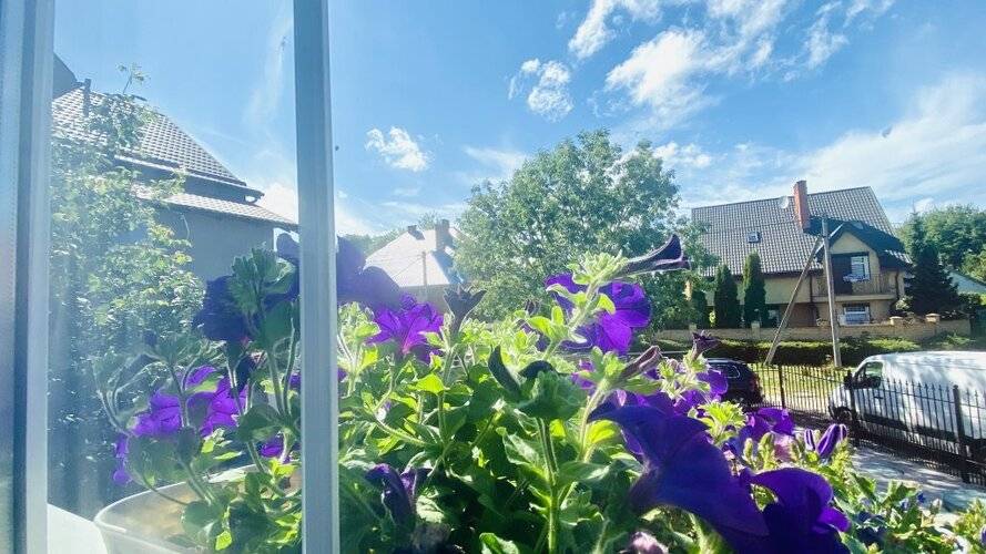 Гостевой Дом Villa Leo (Apartmari)