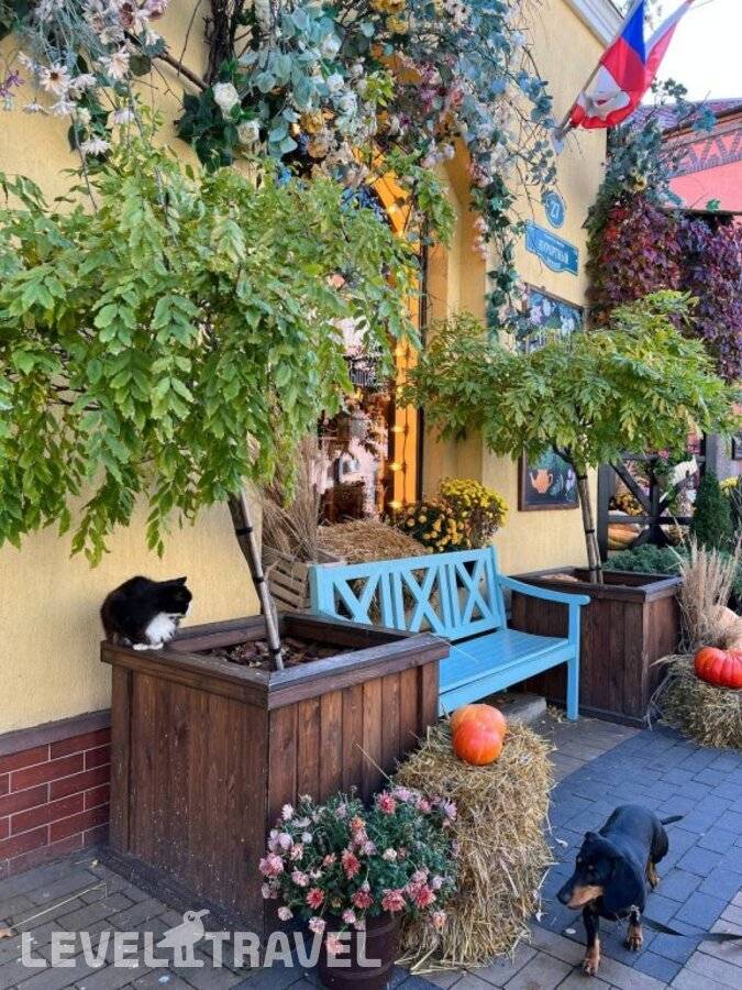 Изображение отеля 16
